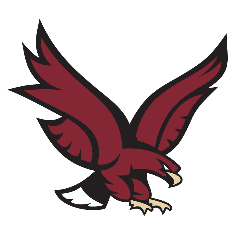 Hawks logo